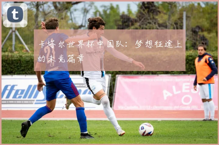 卡塔尔世界杯中国队：梦想征途上的未竟篇章