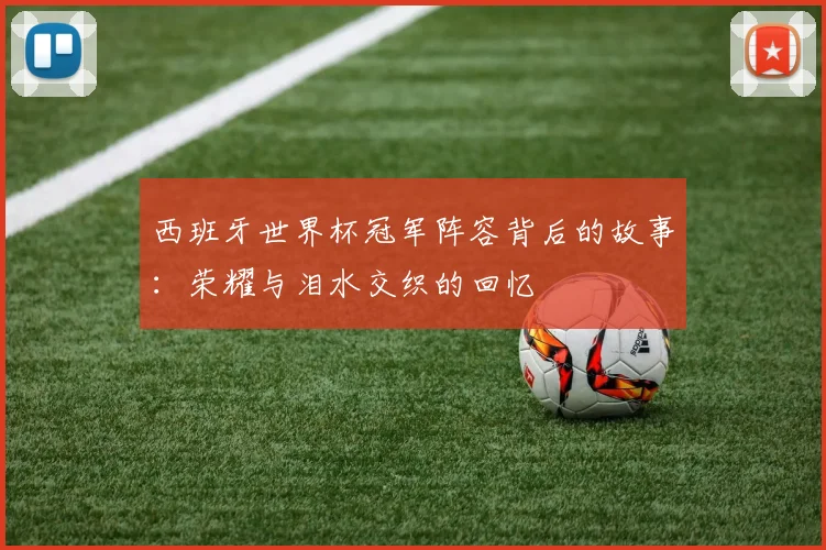 西班牙世界杯冠军阵容背后的故事：荣耀与泪水交织的回忆
