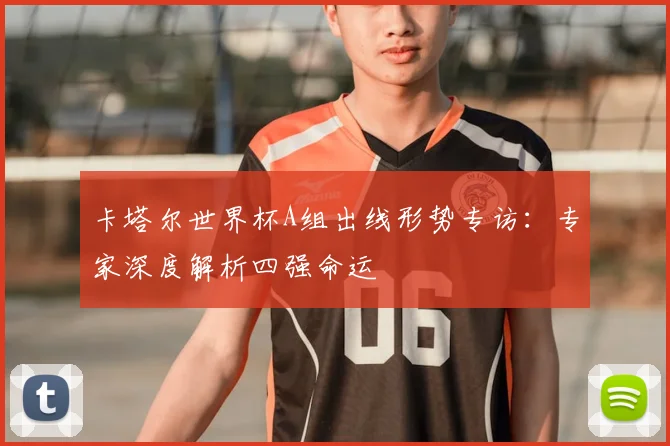 卡塔尔世界杯A组出线形势专访：专家深度解析四强命运