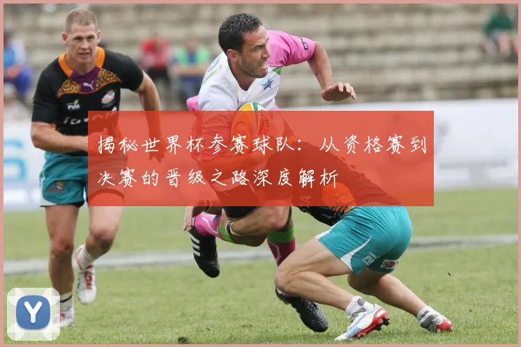 揭秘世界杯参赛球队:从资格赛到决赛的晋级之路深度解析