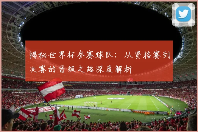 揭秘世界杯参赛球队：从资格赛到决赛的晋级之路深度解析