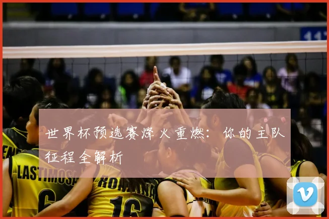世界杯预选赛烽火重燃:你的主队征程全解析