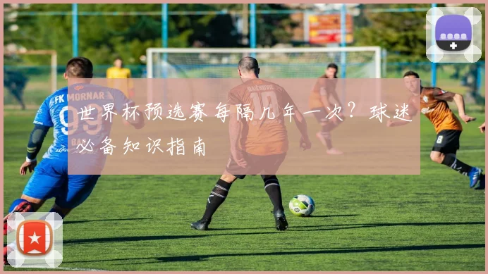 世界杯预选赛每隔几年一次？球迷必备知识指南