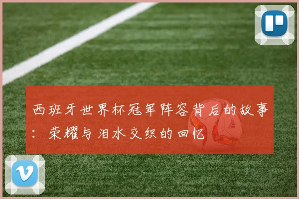 西班牙世界杯冠军阵容背后的故事：荣耀与泪水交织的回忆