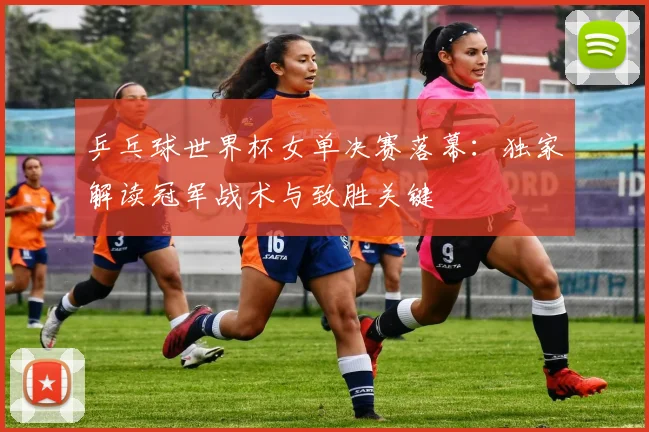 乒乓球世界杯女单决赛落幕：独家解读冠军战术与致胜关键