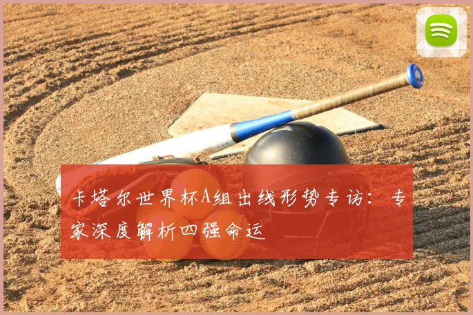 卡塔尔世界杯A组出线形势专访：专家深度解析四强命运