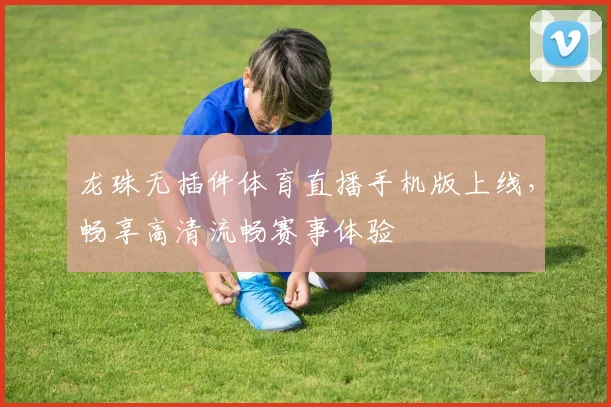 龙珠无插件体育直播手机版上线，畅享高清流畅赛事体验