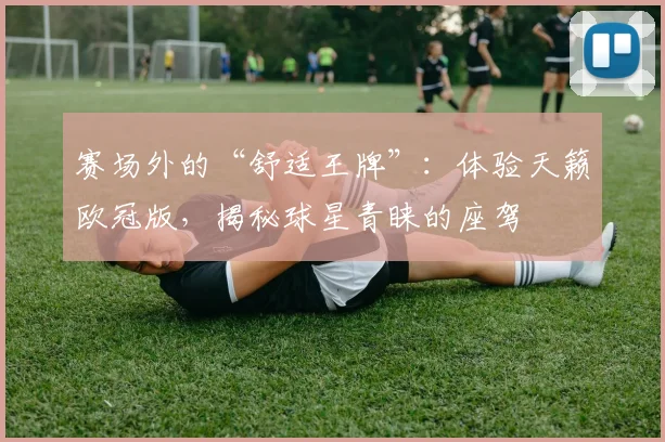 赛场外的“舒适王牌”:体验天籁欧冠版,揭秘球星青睐的座驾