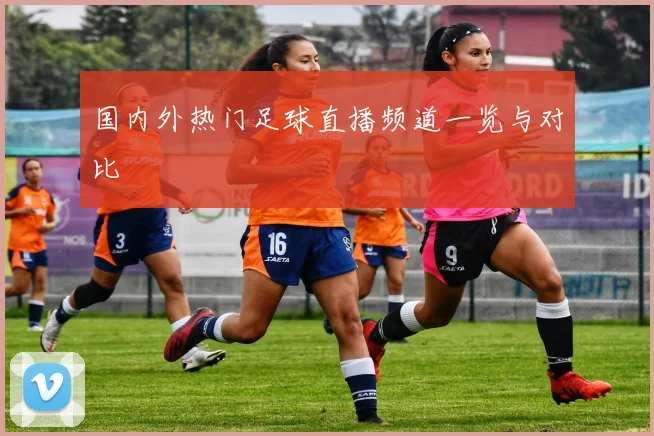 国内外热门足球直播频道一览与对比