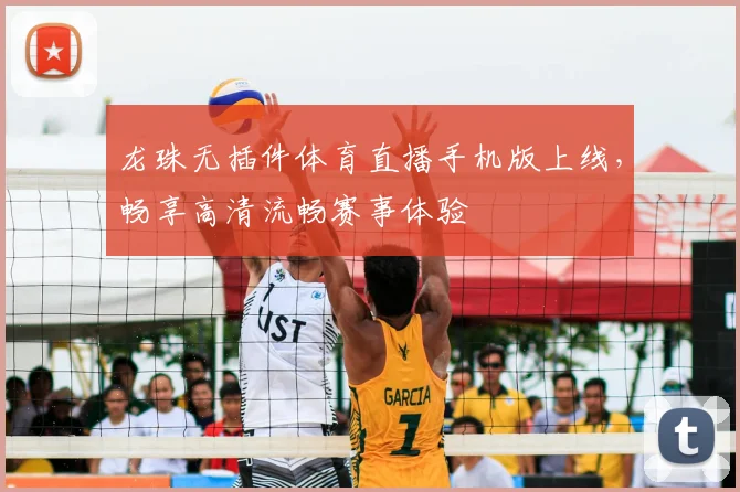 龙珠无插件体育直播手机版上线，畅享高清流畅赛事体验