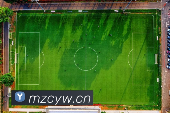 巅峰国标pg官网入口服务体系